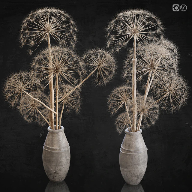 Decor set 11 Heracleum plant — Descargar