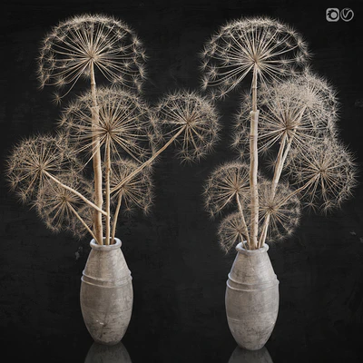 Decor set 11 Heracleum plant — Ver 1