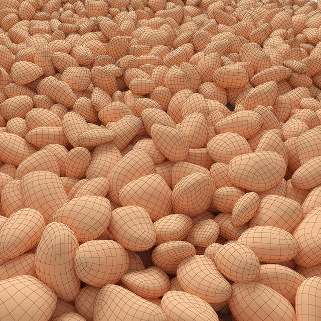The road from pebbles — Descargar