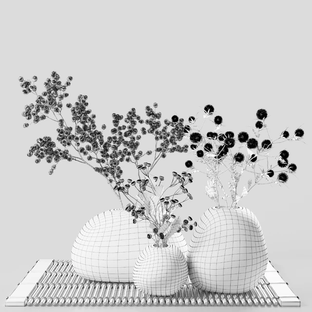 Dried flowers in stone vases — Download