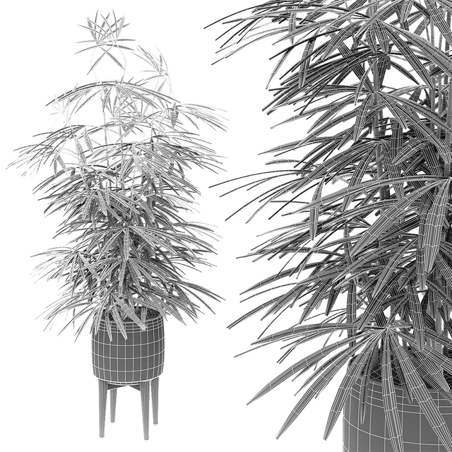 Plant in Pot Flowerpot Exotic Plant — Descargar