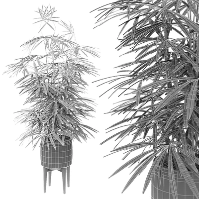 Plant in Pot Flowerpot Exotic Plant — Ver 2