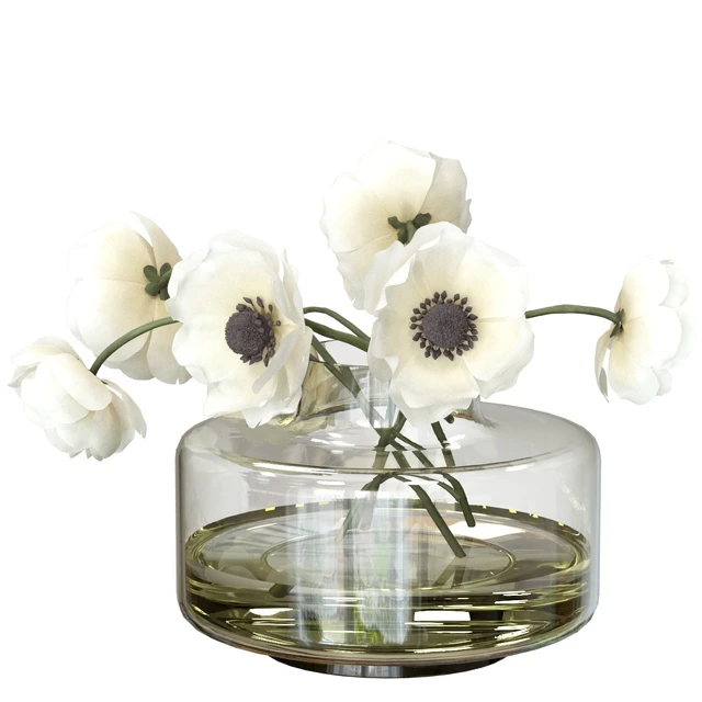 Bouquet of anemones — Descargar