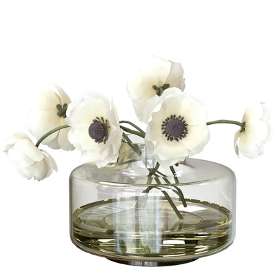 Bouquet of anemones — Ver 3