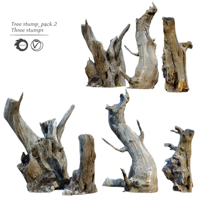 Tree stump  pack 2 — download