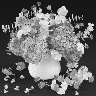 Hydrangea — Ver 2