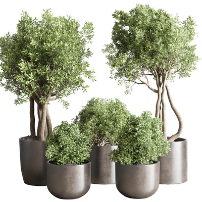 collection Indoor outdoor plant 122 pot tree plant bush dirty concrete vase pot — Ver 1