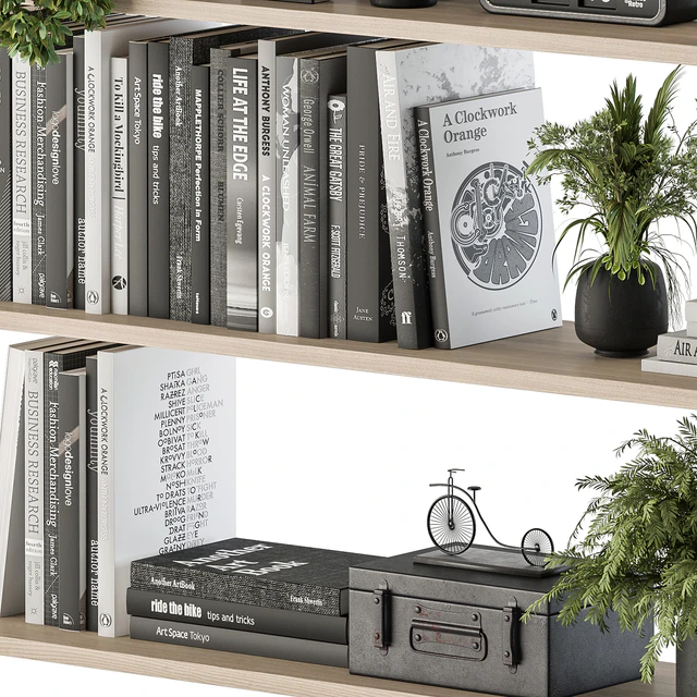 Decorative Set on Shelves and Decor objects - Set 11 — Descargar