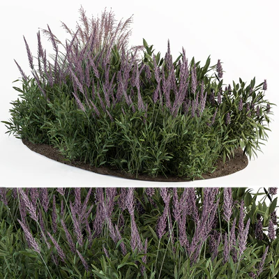 Garden Set Lavender Bush Plants - Outdoor Plants Set 413 — Вид 1