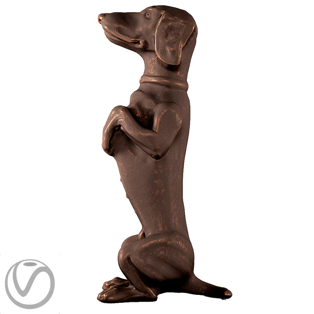 Dachshund — Descargar