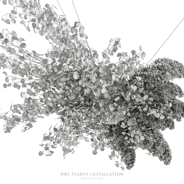 Dry plants installation — Descargar