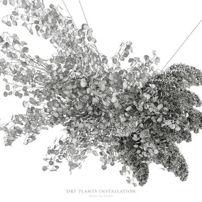 Dry plants installation — Ver 5