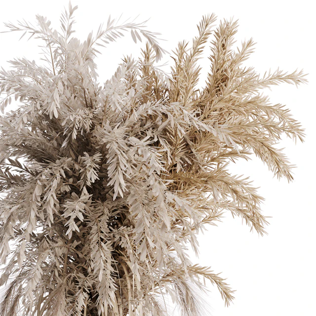 Dry plant set 01 — Скачать
