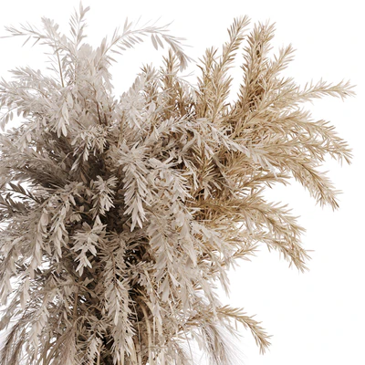 Dry plant set 01 — Вид 4