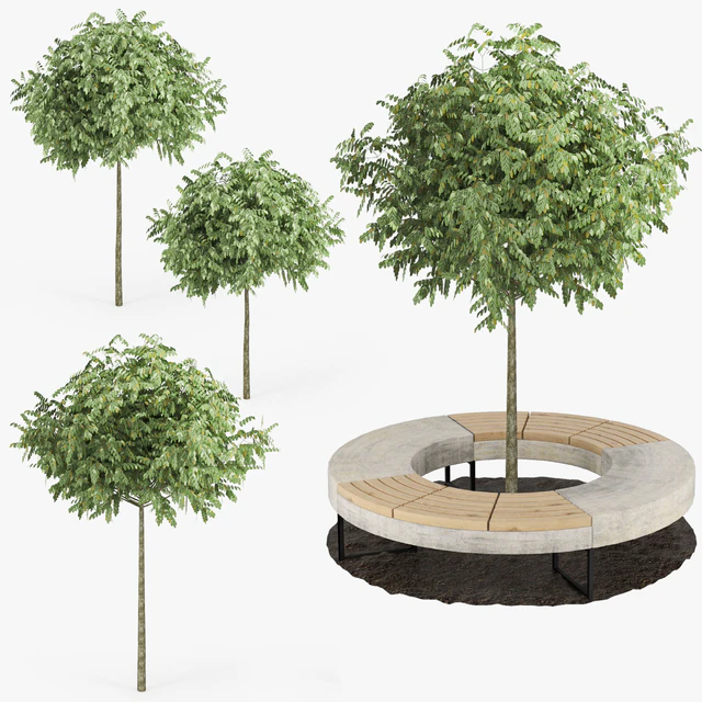 Tree Flowerbed — Скачать