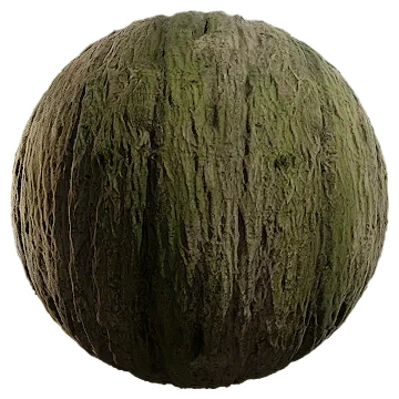 beech bark 012 — Descargar