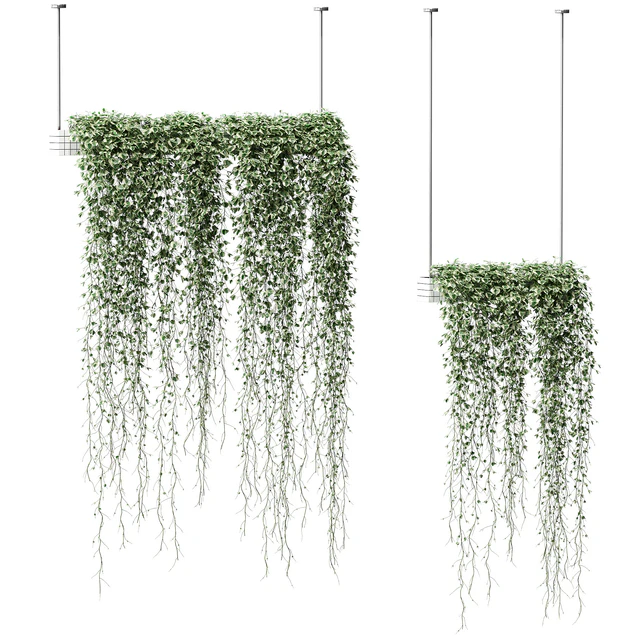 Plants in hanging pots. 2 models — Descargar