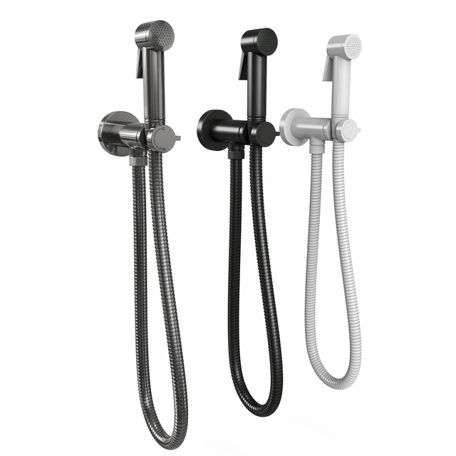 Sanitary shower Bossini Paloma — Descargar