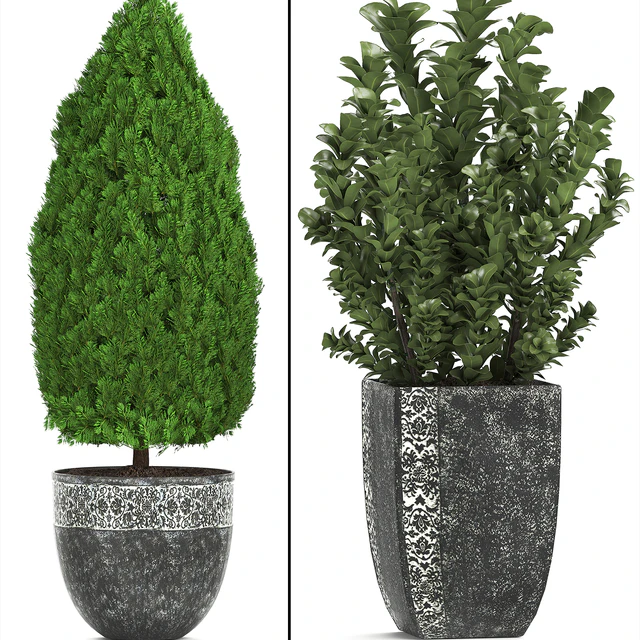 Plant collection 239. Garden plants, landscape design, classic flowerpot, trees, topiary, boxwood — Descargar