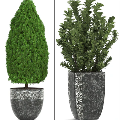 Plant collection 239. Garden plants, landscape design, classic flowerpot, trees, topiary, boxwood — Ver 2