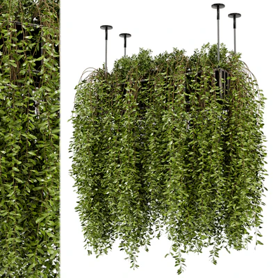 Indoor Hanging Plants in Metal Box - Set 192 — Ver 1