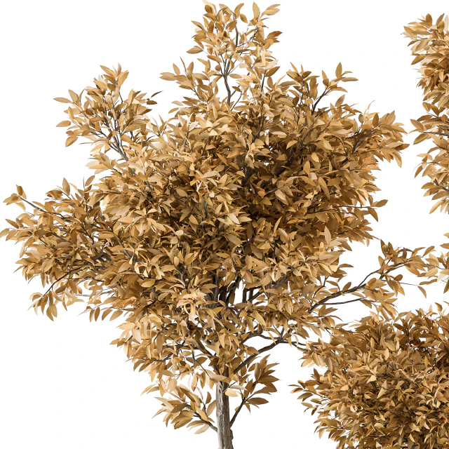Outdoor Plant Set 322- Autumn Plant and Tree Set — Descargar
