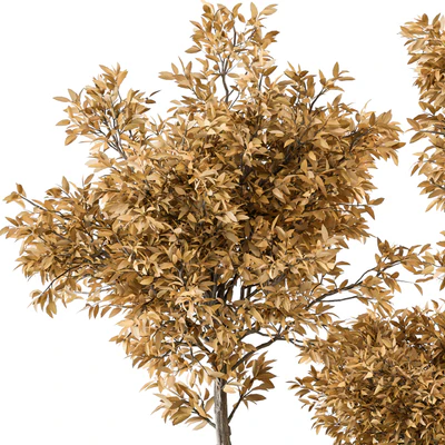 Outdoor Plant Set 322- Autumn Plant and Tree Set — Ver 4