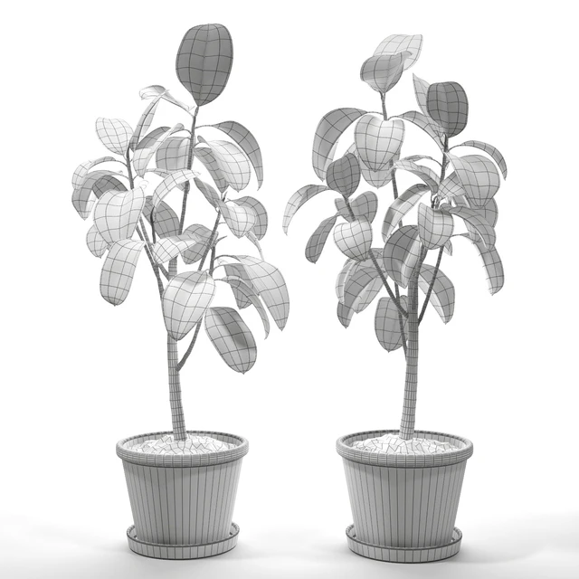 Set of plants 05 — Descargar