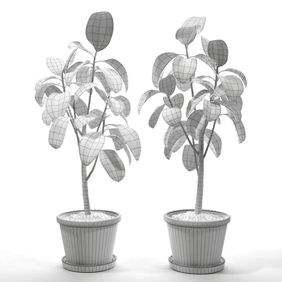 Set of plants 05 — Ver 2