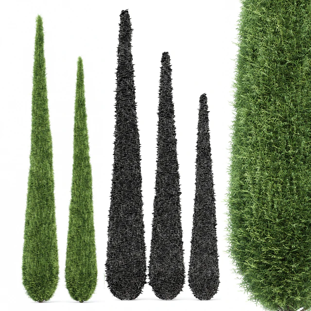 Cypress-5 trees — Descargar
