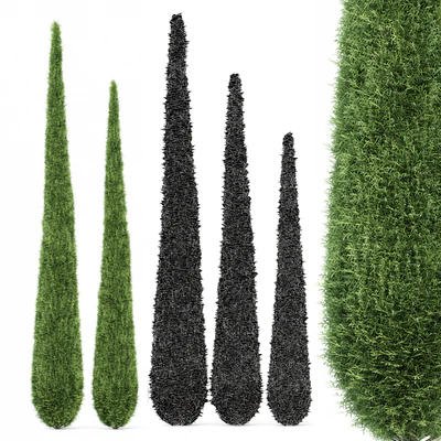 Cypress-5 trees — Ver 3