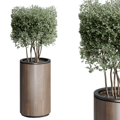 Outdoor Plant 25 — Вид 5