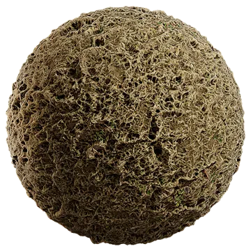 grass dried 022 — Download