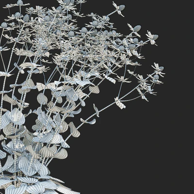 Cinegolovnik flat-leaved flowers | Eryngium planum — Ver 5