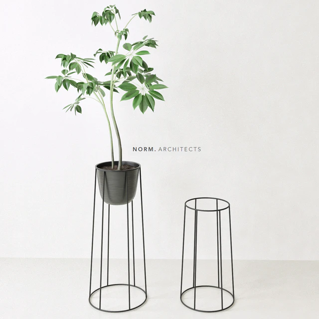 Plant ficus (Norm architects) — Descargar