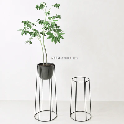 Plant ficus (Norm architects) — Descargar
