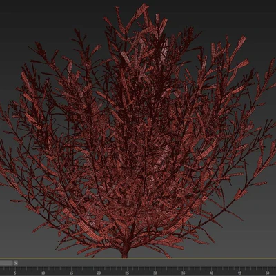 OLIVE TREE 67 — Ver 2