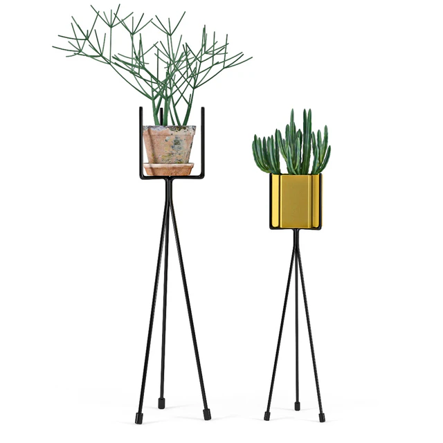 Shelf with Plants — Скачать