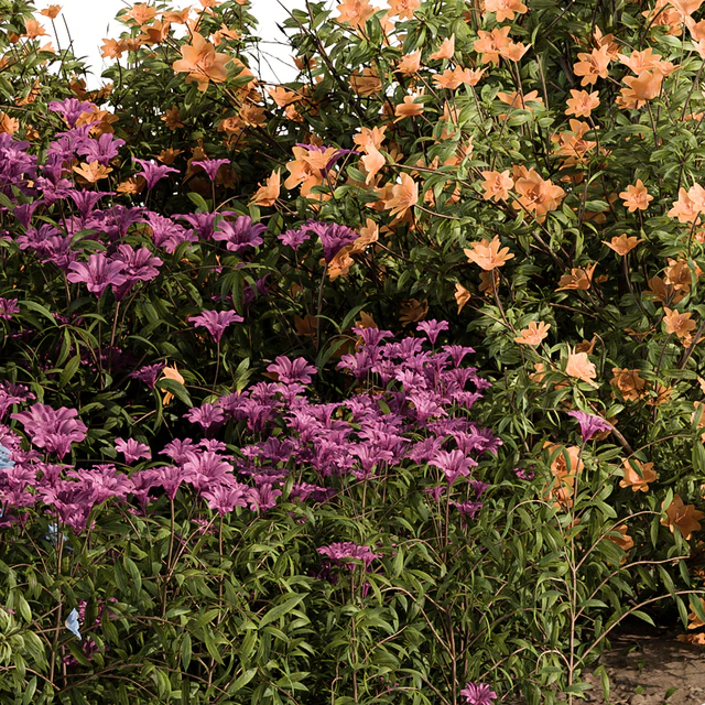 Garden Set colorful Flower Bush  - Outdoor Plants Set 424 — Скачать