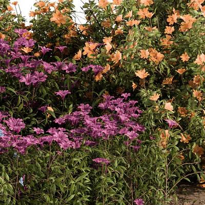 Garden Set colorful Flower Bush  - Outdoor Plants Set 424 — Вид 3