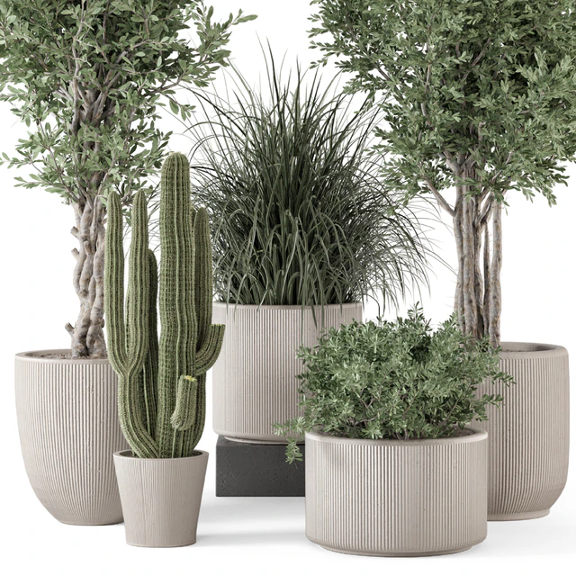 Indoor Plants  in rusty Concrete Pot - Set 1911 — Скачать