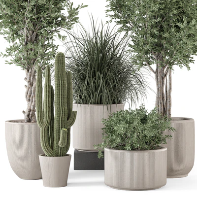 Indoor Plants  in rusty Concrete Pot - Set 1911 — Вид 3