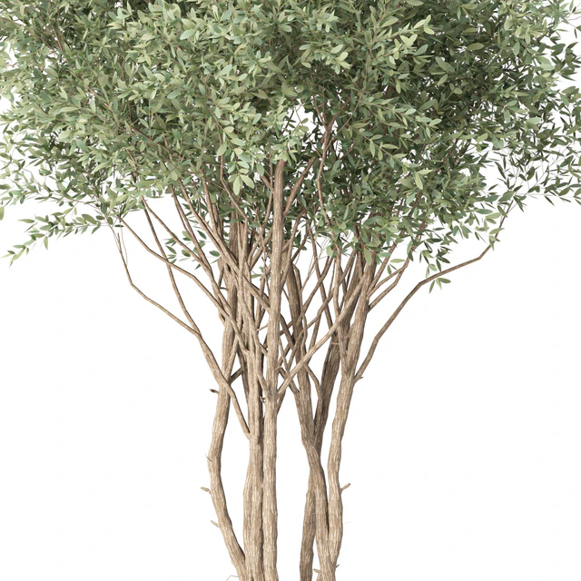 Tree No. 38 — Скачать