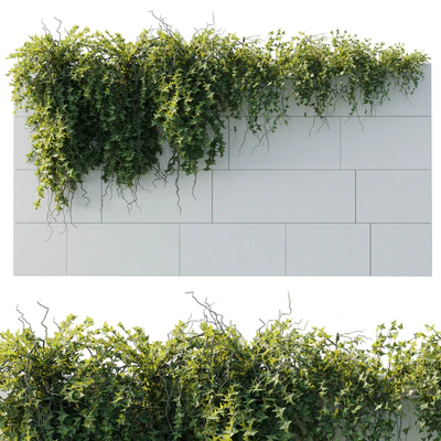 ivy hanging from the wall - outdoor plants set 173 — Ver 1