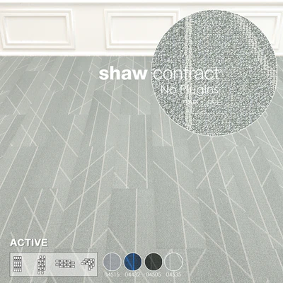 Shaw Carpet Active Wall to Wall Floor No 5 — Ver 3