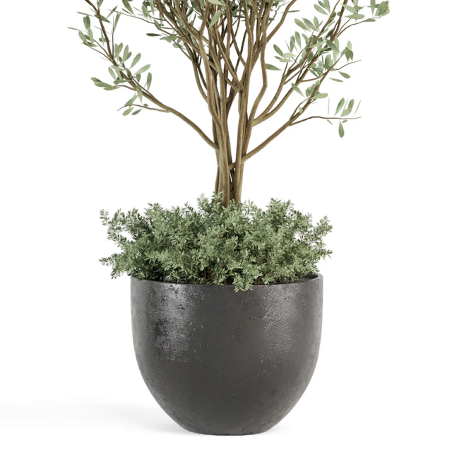 Outdoor bush and Tree in rusty Concrete Pot - Set 204 — Descargar