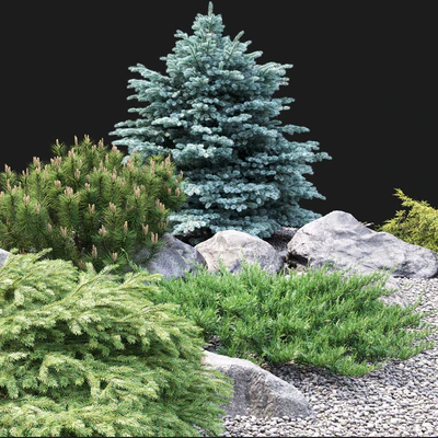 Alpine hill — Ver 4