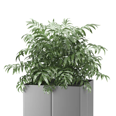 Palm tree in a pot 03 (CAPE Collection) — Вид 2