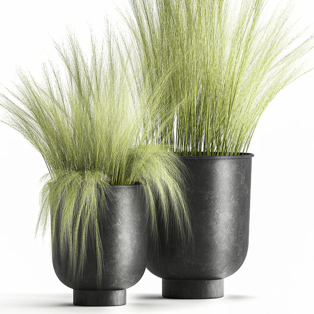 Collection of plants in black metal pots with bush grass grass. Set 1004. — Descargar