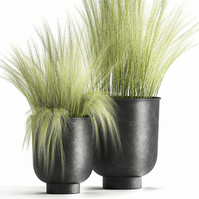 Collection of plants in black metal pots with bush grass grass. Set 1004. — Ver 4